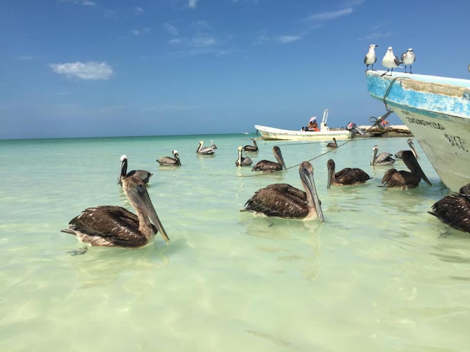 Casa Hridaya Boutique Holbox